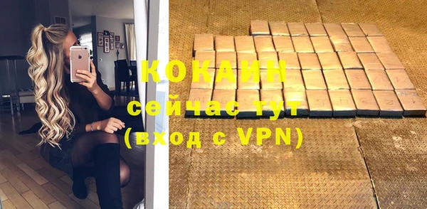 шишки Няндома