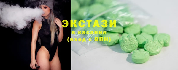 шишки Няндома