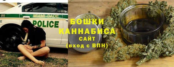 прущие грибы Ивангород