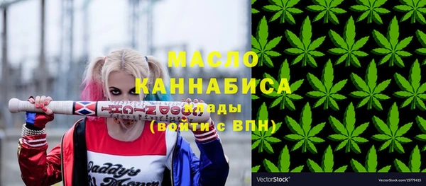 шишки Няндома