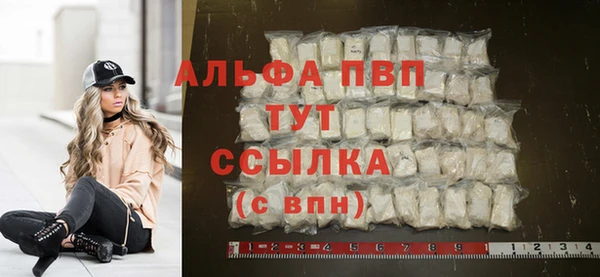 шишки Няндома