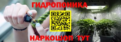 PSILOCYBIN Конаково