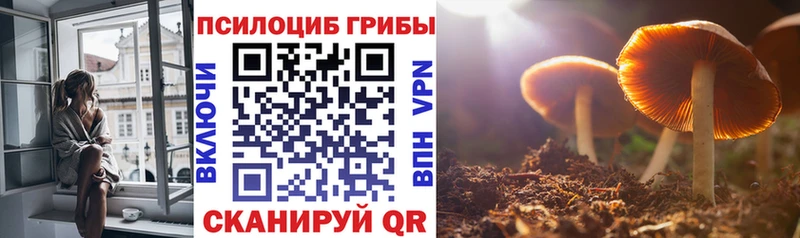 Галлюциногенные грибы прущие грибы Зеленокумск