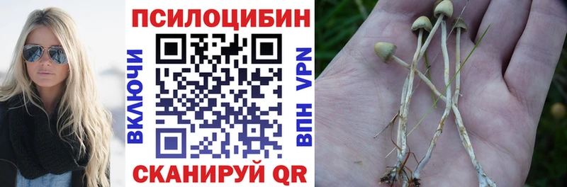 Галлюциногенные грибы мицелий  дарк нет наркотические препараты  Зеленокумск 